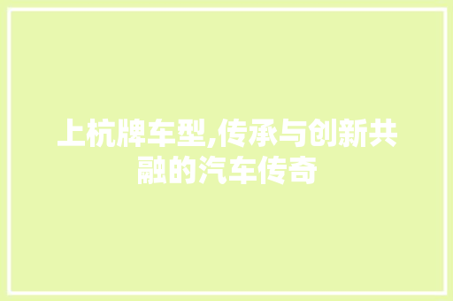 上杭牌车型,传承与创新共融的汽车传奇 变速箱配件