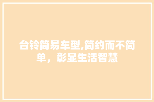 台铃简易车型,简约而不简单，彰显生活智慧