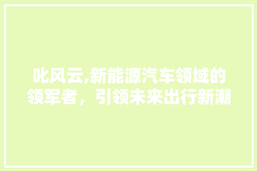 叱风云,新能源汽车领域的领军者，引领未来出行新潮流