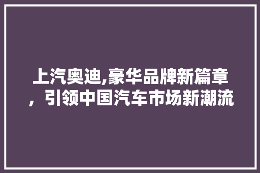 上汽奥迪,豪华品牌新篇章，引领中国汽车市场新潮流 发动机配件