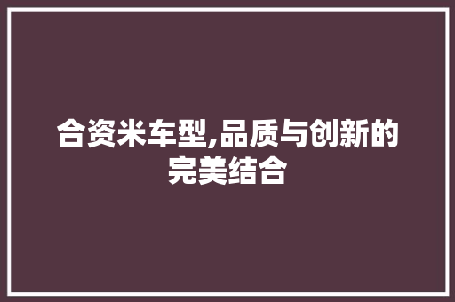 合资米车型,品质与创新的完美结合