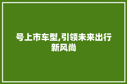号上市车型,引领未来出行新风尚