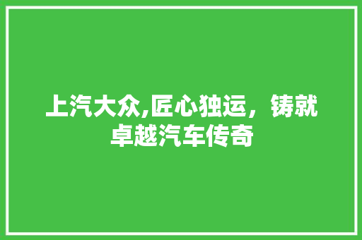 上汽大众,匠心独运，铸就卓越汽车传奇 蓄电池配件