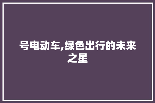 号电动车,绿色出行的未来之星