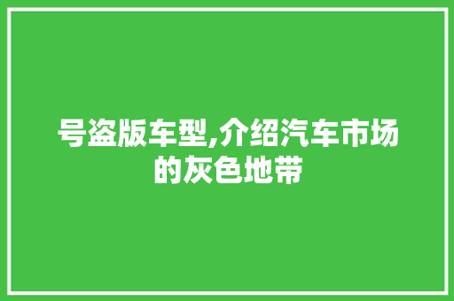 号盗版车型,介绍汽车市场的灰色地带