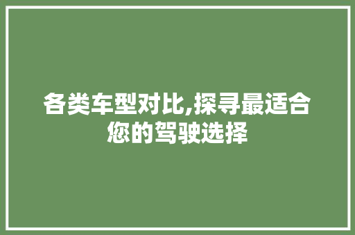 各类车型对比,探寻最适合您的驾驶选择