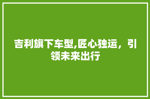 吉利旗下车型,匠心独运，引领未来出行