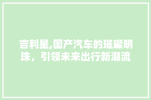 吉利星,国产汽车的璀璨明珠，引领未来出行新潮流