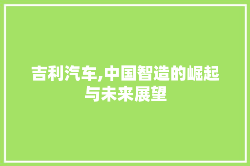 吉利汽车,中国智造的崛起与未来展望