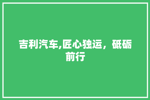 吉利汽车,匠心独运，砥砺前行