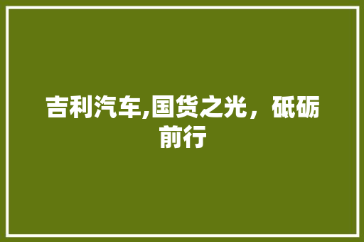 吉利汽车,国货之光，砥砺前行