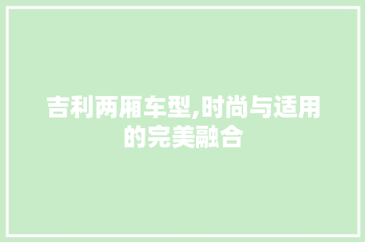 吉利两厢车型,时尚与适用的完美融合