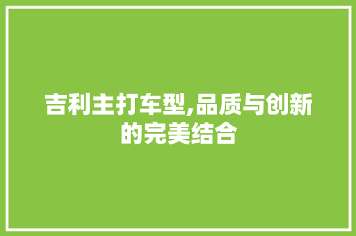 吉利主打车型,品质与创新的完美结合