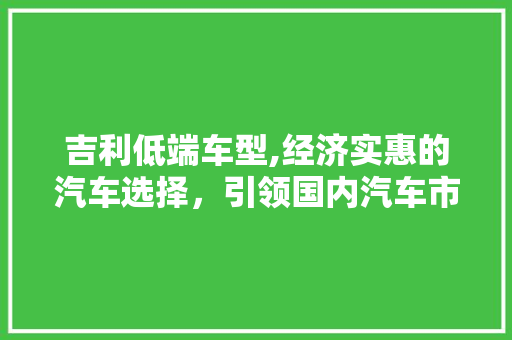 吉利低端车型,经济实惠的汽车选择，引领国内汽车市场新潮流