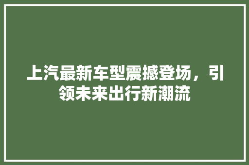 上汽最新车型震撼登场，引领未来出行新潮流 汽车配件