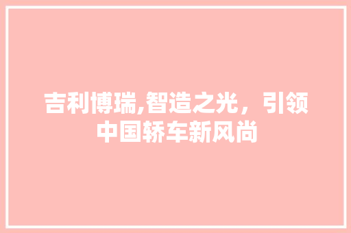 吉利博瑞,智造之光，引领中国轿车新风尚