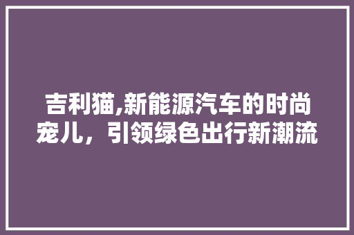 吉利猫,新能源汽车的时尚宠儿，引领绿色出行新潮流