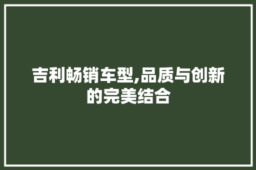 吉利畅销车型,品质与创新的完美结合