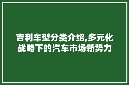 吉利车型分类介绍,多元化战略下的汽车市场新势力