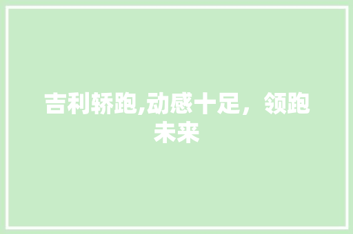 吉利轿跑,动感十足，领跑未来