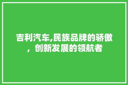 吉利汽车,民族品牌的骄傲，创新发展的领航者