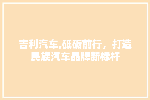 吉利汽车,砥砺前行，打造民族汽车品牌新标杆