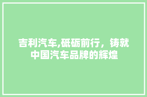 吉利汽车,砥砺前行，铸就中国汽车品牌的辉煌