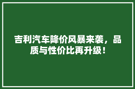 吉利汽车降价风暴来袭，品质与性价比再升级！
