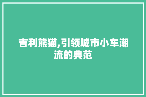 吉利熊猫,引领城市小车潮流的典范