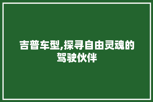 吉普车型,探寻自由灵魂的驾驶伙伴