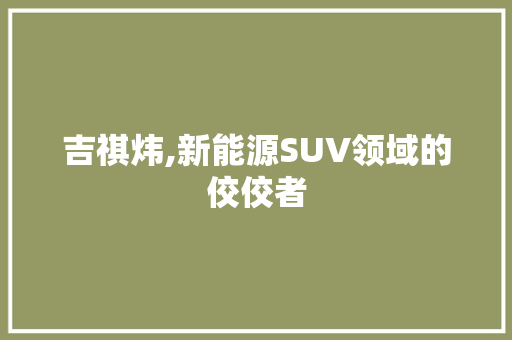 吉祺炜,新能源SUV领域的佼佼者
