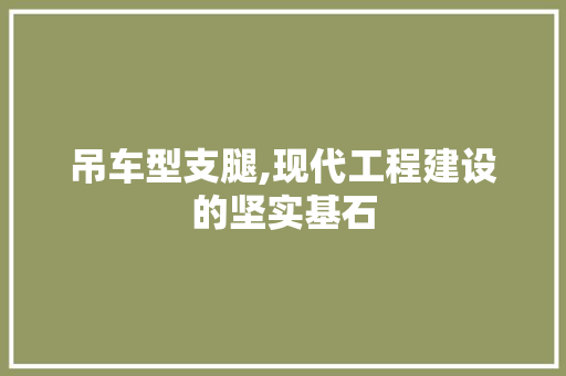 吊车型支腿,现代工程建设的坚实基石