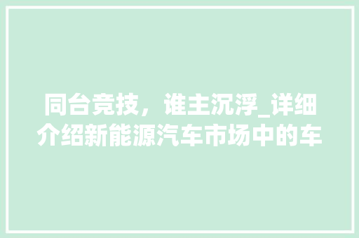 同台竞技，谁主沉浮_详细介绍新能源汽车市场中的车型抗衡