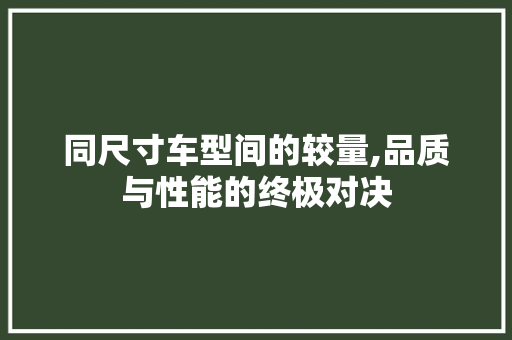 同尺寸车型间的较量,品质与性能的终极对决