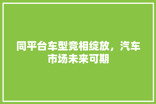 同平台车型竞相绽放，汽车市场未来可期