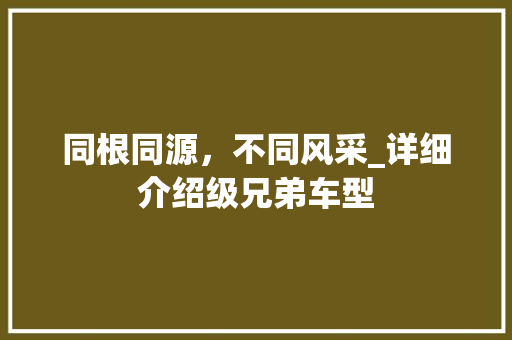 同根同源，不同风采_详细介绍级兄弟车型