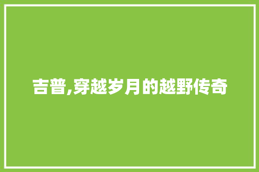 吉普,穿越岁月的越野传奇