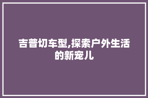 吉普切车型,探索户外生活的新宠儿
