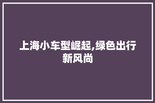 上海小车型崛起,绿色出行新风尚 汽车配件