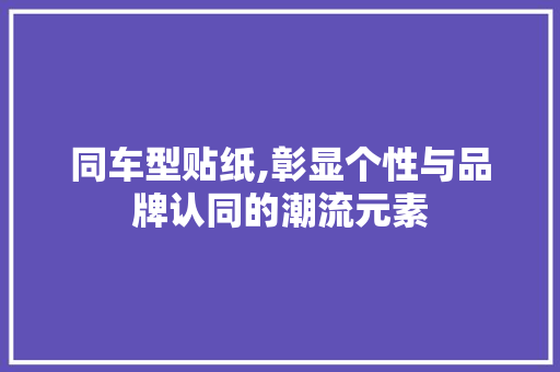 同车型贴纸,彰显个性与品牌认同的潮流元素