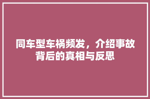 同车型车祸频发，介绍事故背后的真相与反思