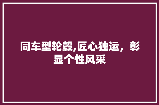 同车型轮毂,匠心独运，彰显个性风采