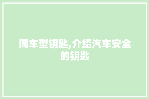 同车型钥匙,介绍汽车安全的钥匙