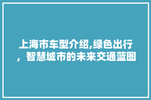 上海市车型介绍,绿色出行，智慧城市的未来交通蓝图
