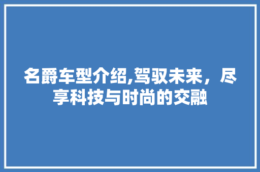 名爵车型介绍,驾驭未来，尽享科技与时尚的交融