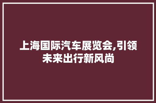 上海国际汽车展览会,引领未来出行新风尚 蓄电池配件