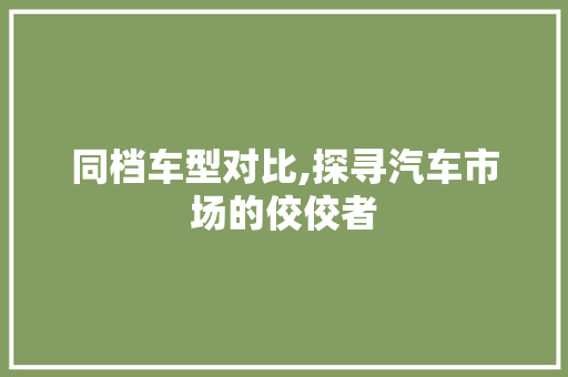 同档车型对比,探寻汽车市场的佼佼者