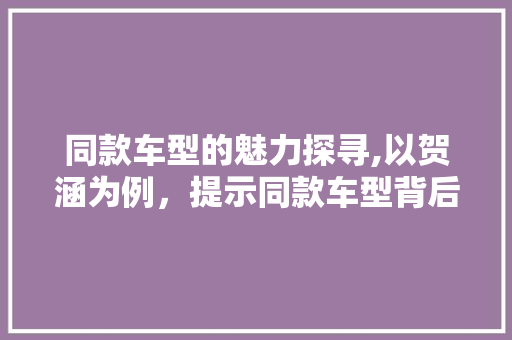 同款车型的魅力探寻,以贺涵为例，提示同款车型背后的独特价值