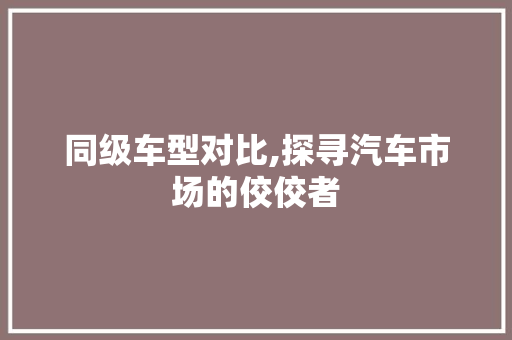 同级车型对比,探寻汽车市场的佼佼者