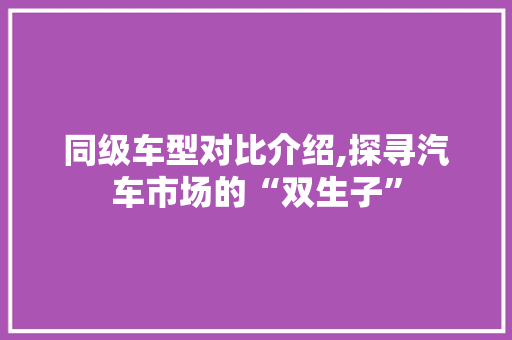 同级车型对比介绍,探寻汽车市场的“双生子”